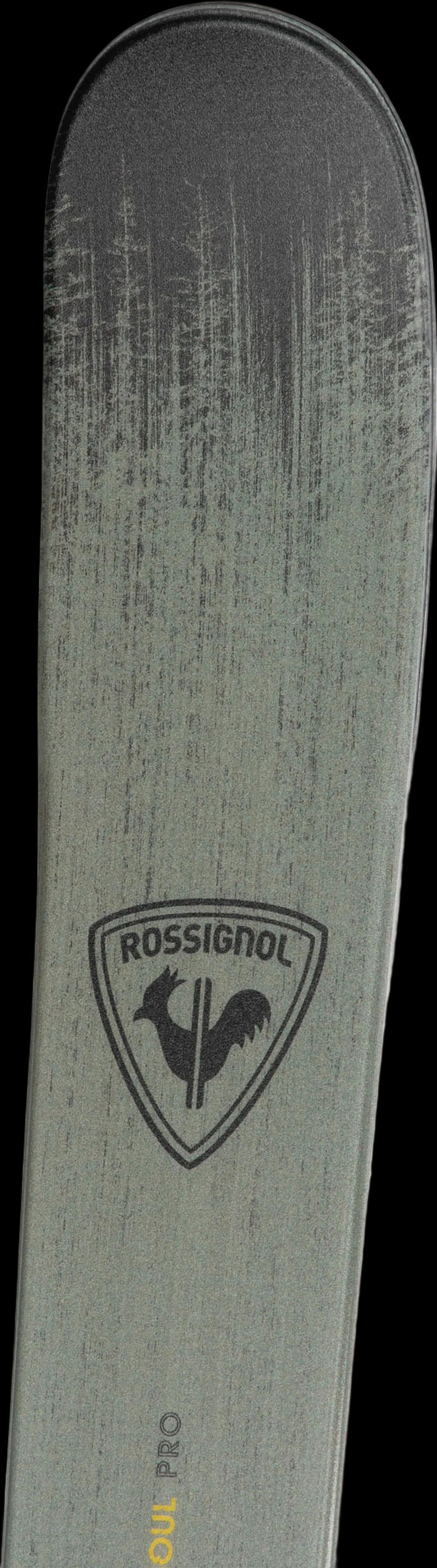 RANQE01_000_72DPI_03